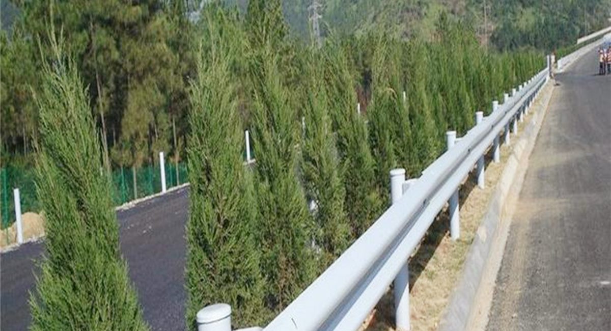 波形護(hù)欄板、鄉(xiāng)村道路護(hù)欄、單波護(hù)欄板世騰加工定制